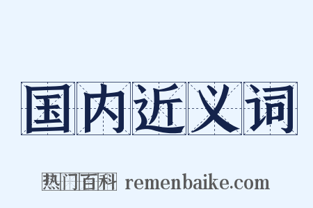 国内近义词是什么意思的图片